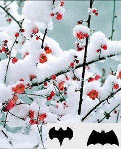 苏幕遮 【苏幕遮·咏梅】