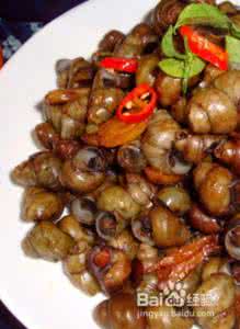 田螺和啤酒 啤酒煮田螺