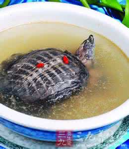 滋阴补肾壮阳 冬季常吃甲鱼可滋阴壮阳补肾