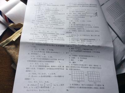 小学数学毕业班复习专项习题精编