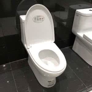 虹吸式马桶 虹吸式马桶 虹吸式是什么意思  虹吸马桶是什么