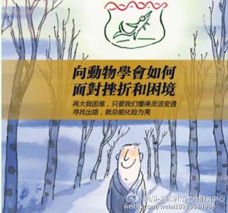 如何面对困境 向动物学会如何面对挫折和困境