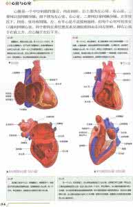 人体器官 最全人体器官维保、使用手册。