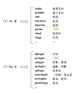 252个常用英语词根 252个英语词根教你一眼认出单词意思