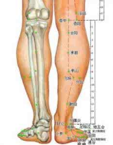 人体止痛完全图解 人体穴位图解大全 人体止痛穴位大全，配好对治疗效果更佳！