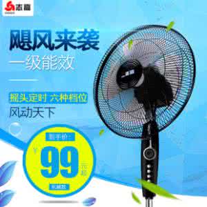 电风扇哪个牌子好 风扇哪个品牌好 电扇什么牌子好