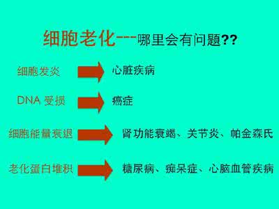 破解生命的密码 破解生命密码之迷