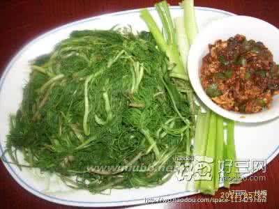 蘸酱菜 蘸酱菜 柳蒿芽蘸酱菜的做法,柳蒿芽蘸酱菜怎么做好吃,柳蒿芽蘸酱菜的家常做法