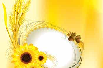 麦穗阁进不去了 麦穗 我读懂了你，麦穗