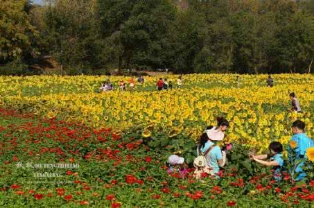 咏怀古迹五首 历代立秋咏怀15首