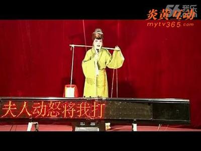 咚咚锵中华戏曲网 《中华戏曲荟萃》100集