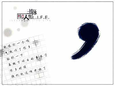 人生的标点阅读答案 畅想标点人生