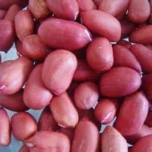 月经期能吃花生吗 月经期能吃花生吗 月经期吃生板栗好吗？