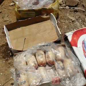 云南河口越南小妹图片 云南河口烧掉从越南走私入境冻品670吨