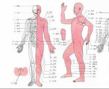 逃家暴给前夫生8个娃 按按穴位生个娃