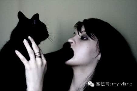 男人向狗学习 女人向猫看齐