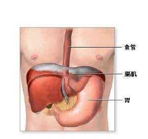 顽固性呃逆偏方 老年顽固性呃逆方
