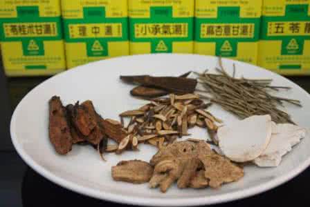 肥胖与减重 中医减重 为肥胖所苦?中医自然减重不复胖