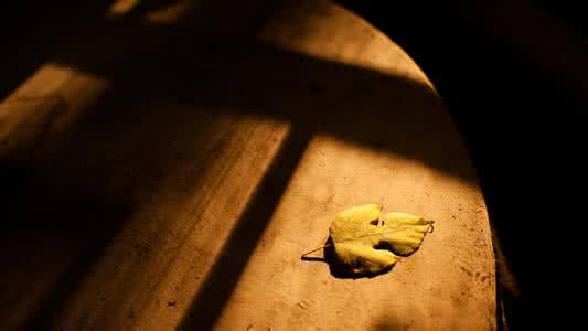 为你写诗 为你写诗【情感美文】