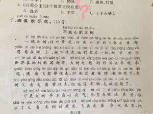 2015重庆高考满分作文 2007年重庆高考满分作文:白色翅膀作文900字