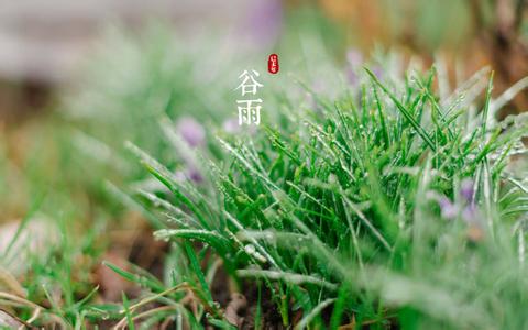 谷雨节气吃什么蔬菜 适合谷雨季节吃的蔬菜 谷雨节气