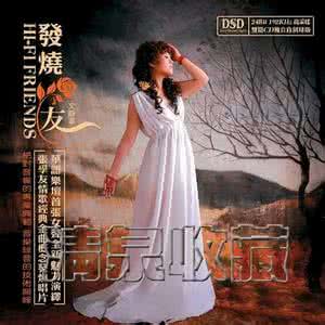 康定情歌鉴赏 《发烧一号》极品情歌声色鉴赏【FLASH 绝品音画】