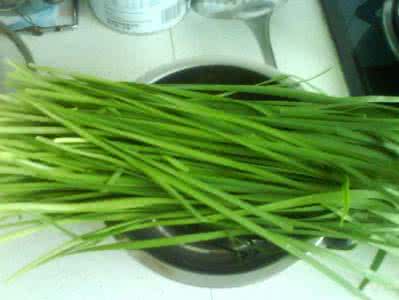 吃韭菜的好处 吃韭菜的好处 怎么画出吃韭菜的好处?