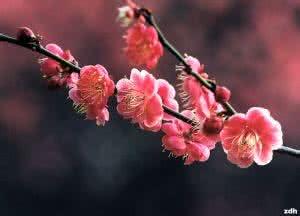 雨中的回忆 《雨中的回忆》【Flash音画】