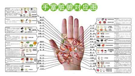 掌纹图解大全男左手 掌纹的秘密全图解 掌中有健康（相关链接：中医手掌诊疗学、手部按摩治疗图解、实用手部反射和穴位图解、老中医教你手诊、手部反射疗法与望手诊病、望手诊病 掌纹的秘密全图解、手诊养生纲目