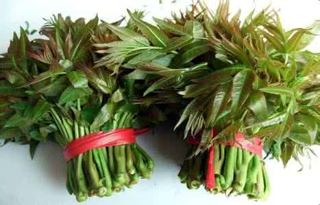 香椿芽的功效与副作用 香椿的营养价值与食用功效