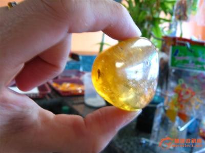 波罗的海琥珀蜜蜡 月薪百万 琥珀海捞这个职业，月薪百万真的不是梦...