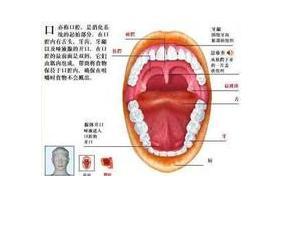 口疮和口腔溃疡的区别 口腔溃疡怎么办 口疮溃疡要注意的宜与禁