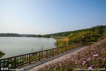 南沙湿地公园 【旅游摄影】南沙湿地公园另一边好去处