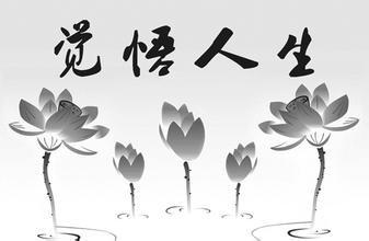 人生需要经历 人生，需要经历