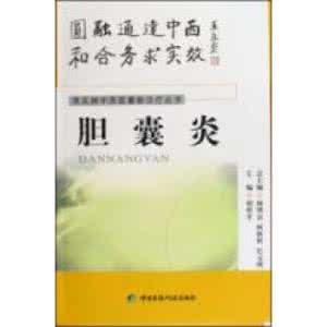 中西医结合科诊疗范围 常见病中西医最新诊疗丛书（13册）