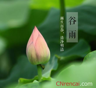 谷雨祝福图片 谷雨祝福语