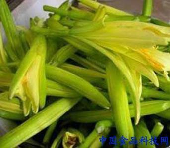 黄花菜相克的食物 黄花菜 解析致命食物（六）、新鲜黄花菜