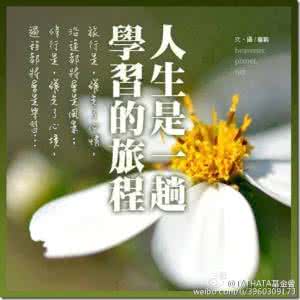 作文 人生需要坚强 不逃避、会珍惜、心坚强，人生就不会太苍白！