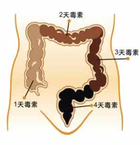 怎样清肠排宿便 怎样清肠排宿便 常吃这3种食物便可清肠排宿便