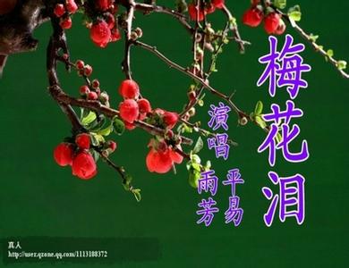 网络红歌2017流行歌曲 网络流行歌曲：《梅花泪》（一粟JIN惠赠）