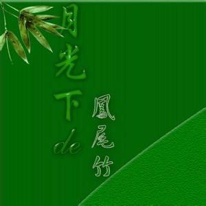 飘雪古筝曲 【音画】古筝曲《静夜飘雪》