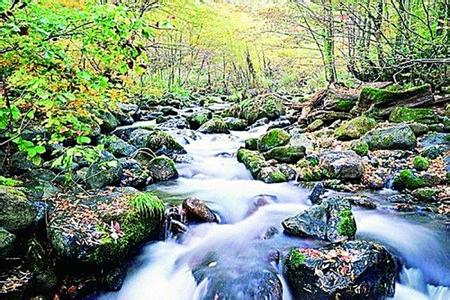 青峰峡森林公园 山间明月对什么青峰 山间公园