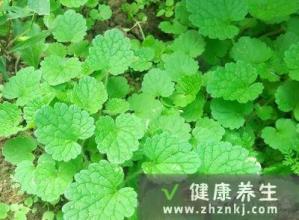 小满时节注意哪些疾病 寒露时节养好这一天可以预防4种病