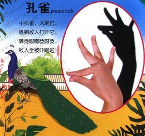 手影全集 手影全集!收藏下来教孩子吧!