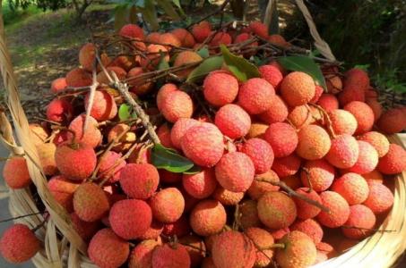 如何挑选水果 【教你怎么挑好水果】