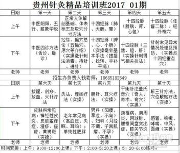 平衡针法临床精要 平衡针法图谱