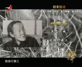 杨三姐告状揭秘:尖刀插在尸体的阴部