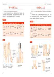 白银投资技巧入门篇 【中医入门】懂点中医《入门篇》你就是生活专家了！