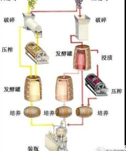 智利的葡萄酒怎么样 葡萄酒是怎么酿造的