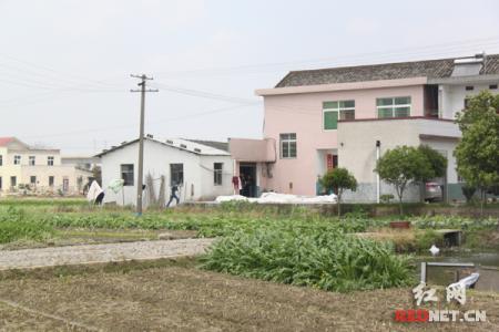 豆腐皮的做法大全 无证“豆皮”厂藏匿长沙城郊被查 产地标为河南